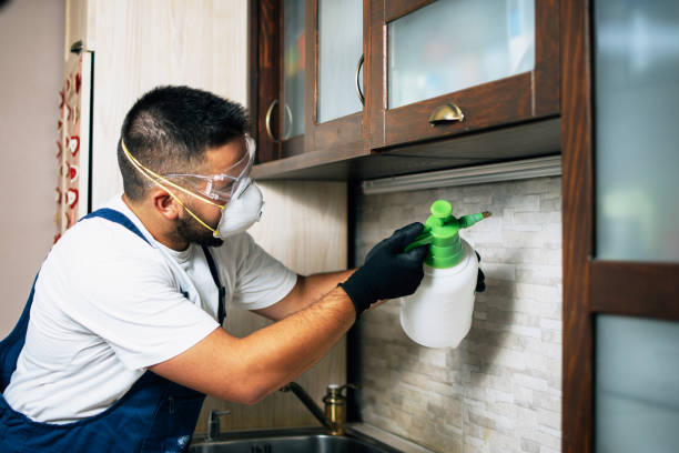 Best Best Pest Control Companies  in Crestwood Village, NJ