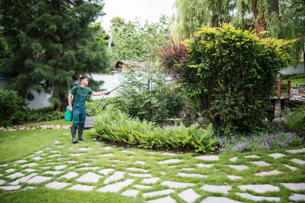 Pest Prevention Services in Crestwood Village, NJ