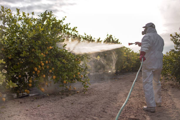 Best Affordable Pest Control Services  in Crestwood Village, NJ