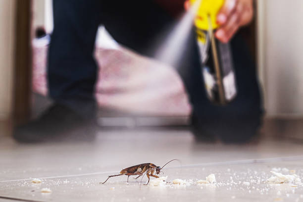 Best Local Pest Control Services  in Crestwood Village, NJ
