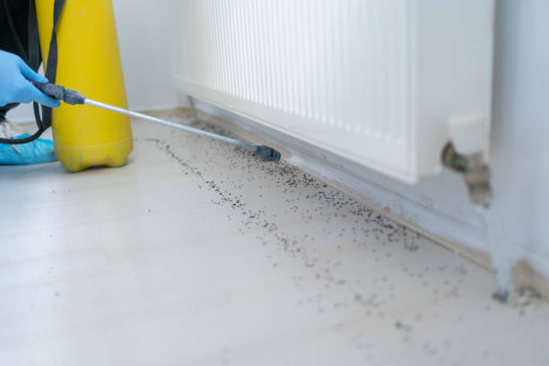 Best Flea Control Services  in Crestwood Village, NJ