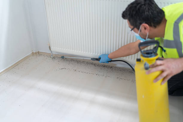 Best Mosquito Control Services  in Crestwood Village, NJ