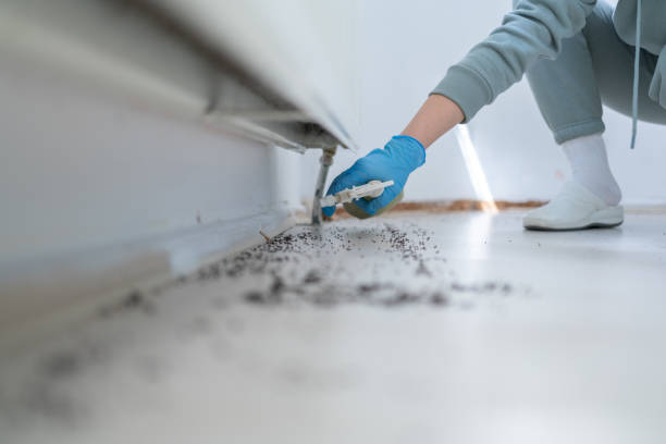 Best Flea Control Services  in Crestwood Village, NJ